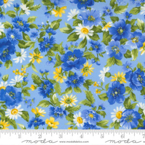 Moda Summer Breeze Sky Multi 33611 15