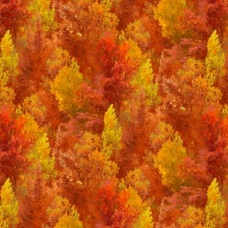 Autumn Retreat Tree Texture Harvest PB091225