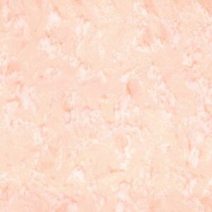 Riley Blake Designs Batiks Hand-Dyes Creamsicle BT21000-343