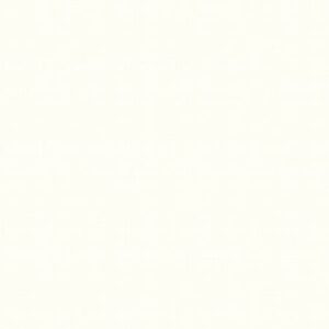 Riley Blake Designs Texture In Color Cream C610R