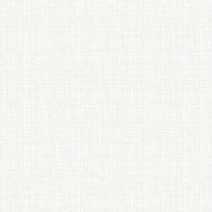 Riley Blake Designs Texture In Color White C610R