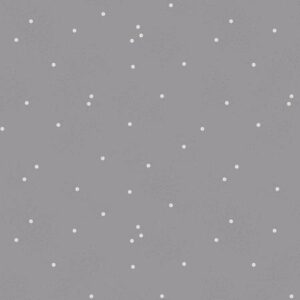 Riley Blake Dainty Daisy Gray C665