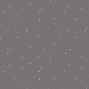 Riley Blake Designs Dainty Daisy Iron C665R