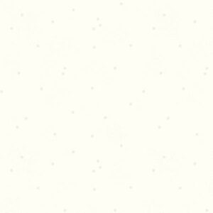 Riley Blake Designs Dainty Daisy on Cloud White C700R