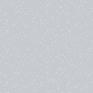 Rkiley Blake Designs Blossoms In Color Silver C715R