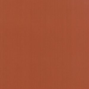 Moda Bella Solids Spice 9900 293