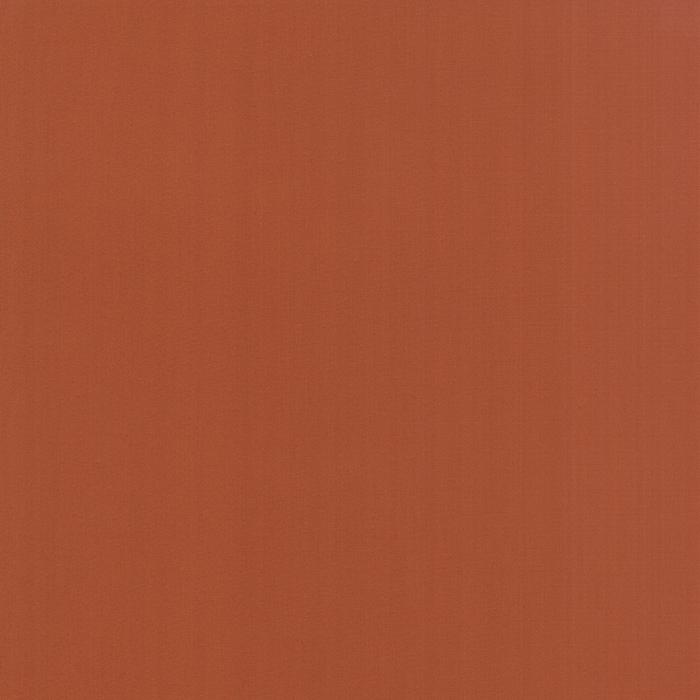 Moda Bella Solids Spice 9900 293