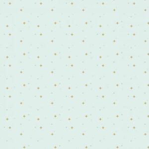 Riley Blake Designs Sparkler Bleached SC650R